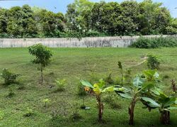 Blk 347 Tampines Street 33 (Tampines), HDB 4 Rooms #548162791